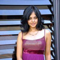 Bindu Madhavi Hot in Pink Gown Dress - Pictures | Picture 120970
